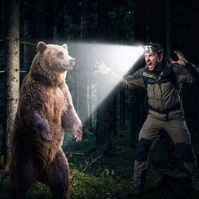 homme face à un ours avec sa lampe frontale longue durée